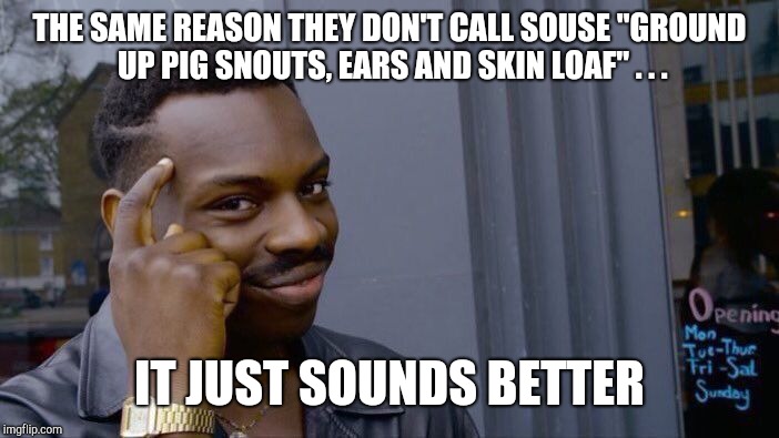 Roll Safe Think About It Meme | THE SAME REASON THEY DON'T CALL SOUSE "GROUND UP PIG SNOUTS, EARS AND SKIN LOAF" . . . IT JUST SOUNDS BETTER | image tagged in memes,roll safe think about it | made w/ Imgflip meme maker