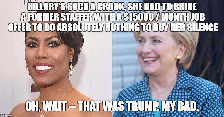 I need a job like that | HILLARY'S SUCH A CROOK, SHE HAD TO BRIBE A FORMER STAFFER WITH A $15000 / MONTH JOB OFFER TO DO ABSOLUTELY NOTHING TO BUY HER SILENCE; OH, WAIT -- THAT WAS TRUMP. MY BAD. | image tagged in omarosa,hillary,hillary clinton,trump,america,usa | made w/ Imgflip meme maker