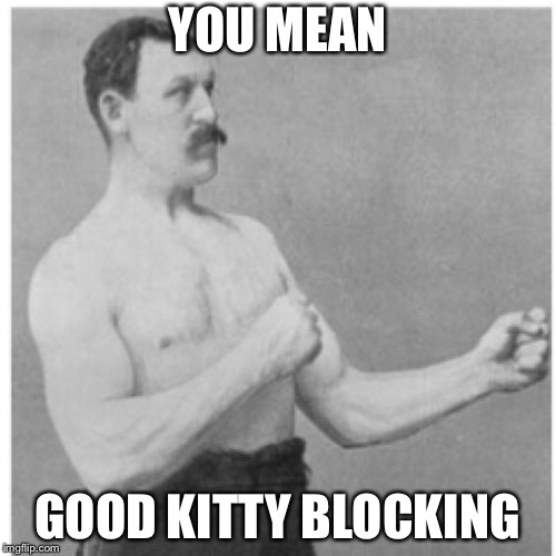 Overly Manly Man Meme | YOU MEAN GOOD KITTY BLOCKING | image tagged in memes,overly manly man | made w/ Imgflip meme maker