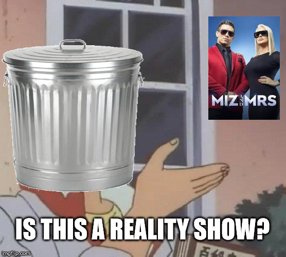 is This a Reality Show? |  IS THIS A REALITY SHOW? | image tagged in trash,the miz,wwe,miz and mrs,memes | made w/ Imgflip meme maker