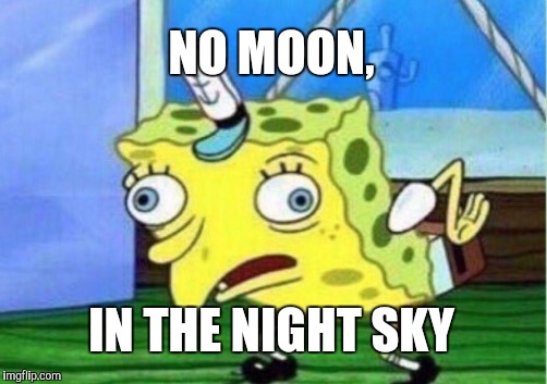 Mocking Spongebob Meme | NO MOON, IN THE NIGHT SKY | image tagged in memes,mocking spongebob | made w/ Imgflip meme maker