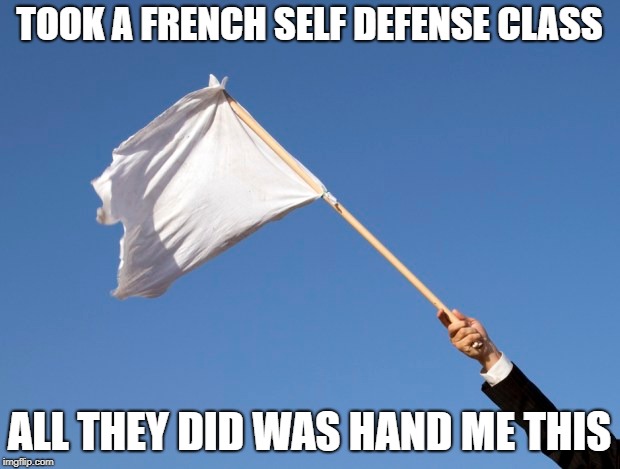 TOOK A FRENCH SELF DEFENSE CLASS; ALL THEY DID WAS HAND ME THIS | image tagged in french | made w/ Imgflip meme maker