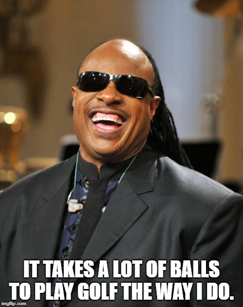 Stevie Wonder | IT TAKES A LOT OF BALLS TO PLAY GOLF THE WAY I DO. | image tagged in stevie wonder | made w/ Imgflip meme maker