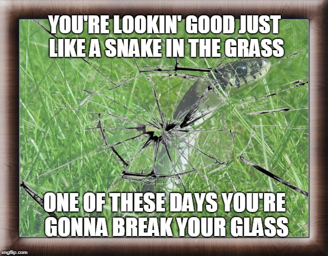 Don't Bring Me Down | YOU'RE LOOKIN' GOOD JUST LIKE A SNAKE IN THE GRASS; ONE OF THESE DAYS YOU'RE GONNA BREAK YOUR GLASS | image tagged in don't bring me down,snake in the grass,you're gonna break your glass | made w/ Imgflip meme maker