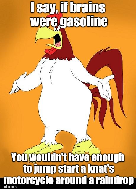 Foghorn leghorn |  I say, if brains were gasoline; You wouldn't have enough to jump start a knat's motorcycle around a raindrop | image tagged in foghorn leghorn | made w/ Imgflip meme maker