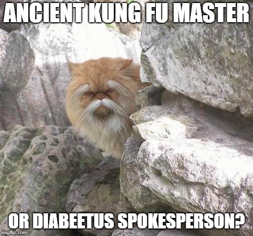 ANCIENT KUNG FU MASTER; OR DIABEETUS SPOKESPERSON? | image tagged in kung fu diabeetus | made w/ Imgflip meme maker