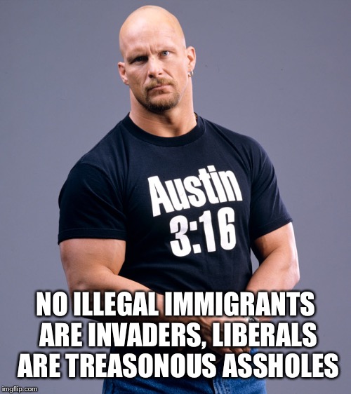 Stone Cold Steve Austin | NO ILLEGAL IMMIGRANTS ARE INVADERS, LIBERALS ARE TREASONOUS ASSHOLES | image tagged in stone cold steve austin | made w/ Imgflip meme maker