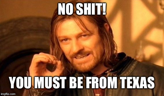 One Does Not Simply Meme | NO SHIT! YOU MUST BE FROM TEXAS | image tagged in memes,one does not simply | made w/ Imgflip meme maker