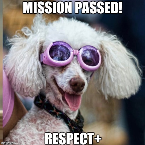 Dat face when you finish a mission be like... | MISSION PASSED! RESPECT+ | image tagged in dogs,gta,funny,meme | made w/ Imgflip meme maker