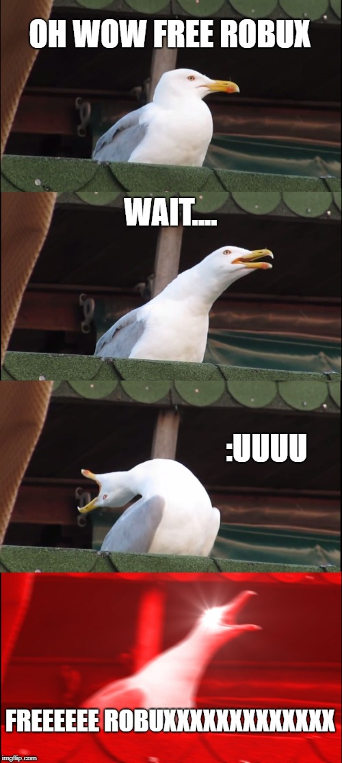 Seagull Finds Free Robux | OH WOW FREE ROBUX; WAIT.... :UUUU; FREEEEEE ROBUXXXXXXXXXXXXX | image tagged in memes,inhaling seagull | made w/ Imgflip meme maker