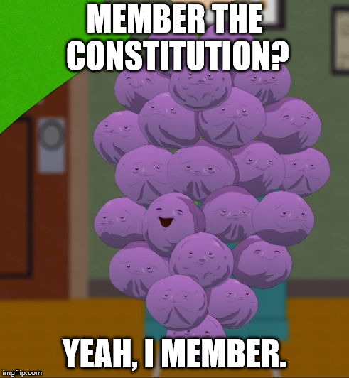 member berries  | MEMBER THE CONSTITUTION? YEAH, I MEMBER. | image tagged in member berries | made w/ Imgflip meme maker