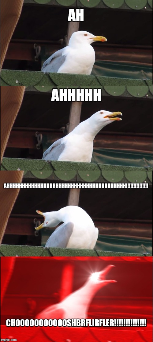 How I Sneeze In Class | AH; AHHHHH; AHHHHHHHHHHHHHHHHHHHHHHHHHHHHHHHHHHHHHHH!!!!!!!!!!!!!!! CHOOOOOOOOOOOSHBRFLIRFLER!!!!!!!!!!!!!! | image tagged in sneeze | made w/ Imgflip meme maker