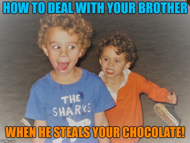 brotherly love | HOW TO DEAL WITH YOUR BROTHER; WHEN HE STEALS YOUR CHOCOLATE! | image tagged in brothers | made w/ Imgflip meme maker