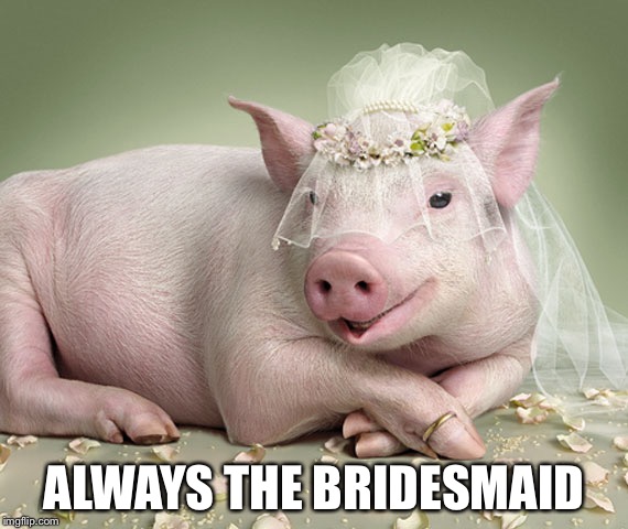 Foul Married Sow | ALWAYS THE BRIDESMAID | image tagged in foul married sow | made w/ Imgflip meme maker