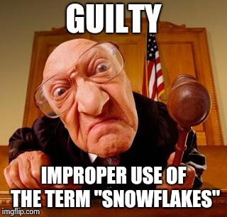 Mean Judge | GUILTY IMPROPER USE OF THE TERM "SNOWFLAKES" | image tagged in mean judge | made w/ Imgflip meme maker