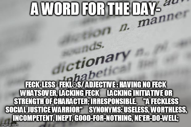 Dictionary-001 | A WORD FOR THE DAY-; FECK·LESS
ˈFEKLƏS/
ADJECTIVE
: HAVING NO FECK WHATSOVER, LACKING FECK

    LACKING INITIATIVE OR STRENGTH OF CHARACTER; IRRESPONSIBLE.
    "A FECKLESS SOCIAL JUSTICE WARRIOR"
    SYNONYMS:	USELESS, WORTHLESS, INCOMPETENT, INEPT, GOOD-FOR-NOTHING, NE'ER-DO-WELL; | image tagged in dictionary-001 | made w/ Imgflip meme maker