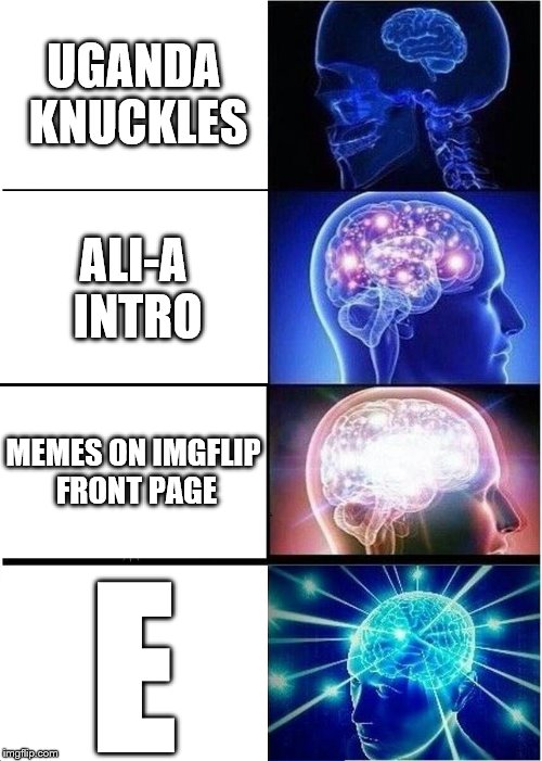 Expanding Brain | UGANDA KNUCKLES; ALI-A INTRO; MEMES ON IMGFLIP FRONT PAGE; E | image tagged in memes,expanding brain | made w/ Imgflip meme maker