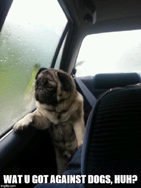 Introspective Pug | WAT U GOT AGAINST DOGS, HUH? | image tagged in introspective pug | made w/ Imgflip meme maker