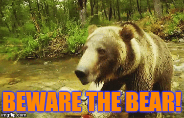 Beware the Bear! - Imgflip