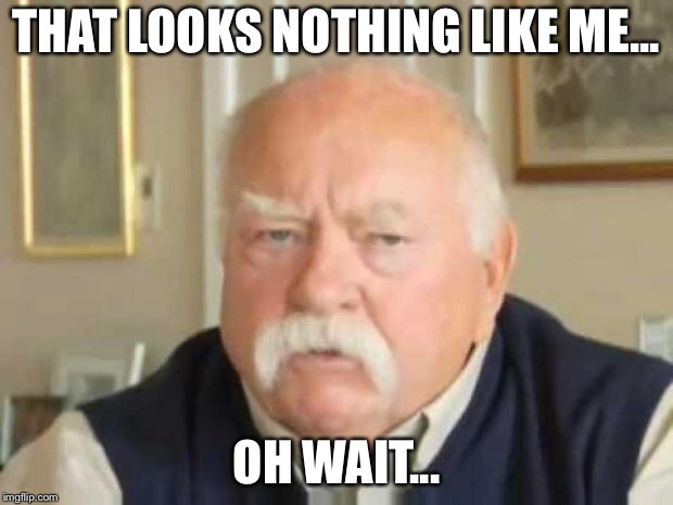 Wilford Brimley | THAT LOOKS NOTHING LIKE ME... OH WAIT... | image tagged in wilford brimley | made w/ Imgflip meme maker