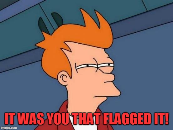 Futurama Fry Meme | IT WAS YOU THAT FLAGGED IT! | image tagged in memes,futurama fry | made w/ Imgflip meme maker