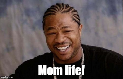 Yo Dawg Heard You Meme | Mom life! | image tagged in memes,yo dawg heard you | made w/ Imgflip meme maker