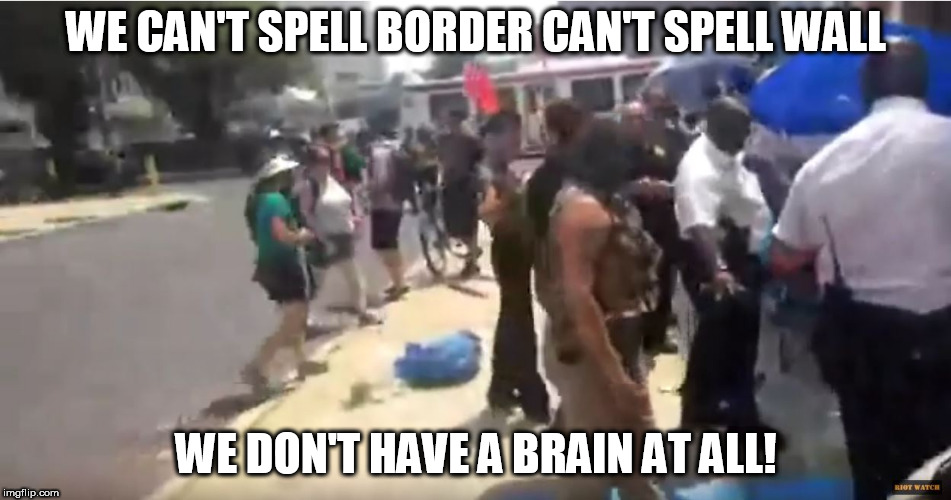 more correctly  worded  protest! | WE CAN'T SPELL BORDER CAN'T SPELL WALL; WE DON'T HAVE A BRAIN AT ALL! | image tagged in trump protestors,chanting,no wall | made w/ Imgflip meme maker