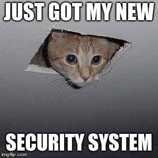 Ceiling Cat | JUST GOT MY NEW; SECURITY SYSTEM | image tagged in memes,ceiling cat | made w/ Imgflip meme maker