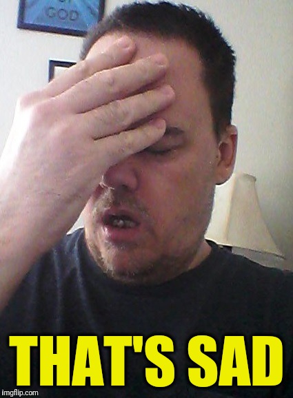 face palm | THAT'S SAD | image tagged in face palm | made w/ Imgflip meme maker