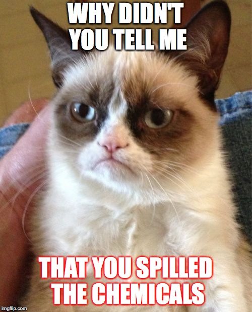 Grumpy Cat | WHY DIDN'T YOU TELL ME; THAT YOU SPILLED THE CHEMICALS | image tagged in memes,grumpy cat | made w/ Imgflip meme maker