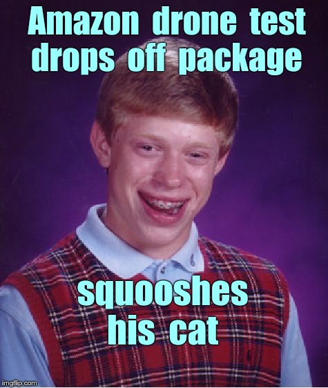 Bad Luck Brian Amazon Drone Test | Amazon  drone  test   drops  off  package; squooshes  his  cat | image tagged in memes,bad luck brian,drones,amazon | made w/ Imgflip meme maker