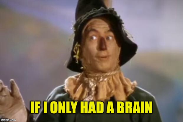 Scarecrow | IF I ONLY HAD A BRAIN | image tagged in scarecrow | made w/ Imgflip meme maker
