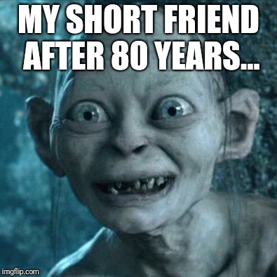 Gollum Meme | MY SHORT FRIEND AFTER 80 YEARS... | image tagged in memes,gollum | made w/ Imgflip meme maker