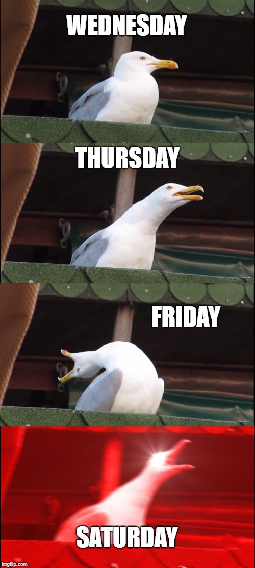 Inhaling Seagull Meme | WEDNESDAY; THURSDAY; FRIDAY; SATURDAY | image tagged in memes,inhaling seagull | made w/ Imgflip meme maker