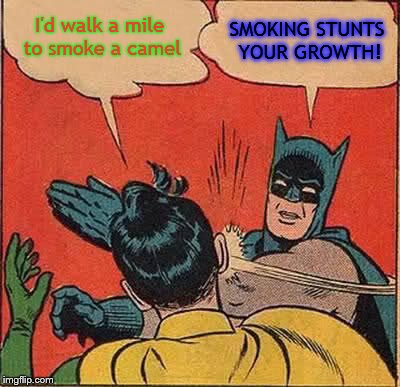 It wheelie does | I'd walk a mile to smoke a camel; SMOKING STUNTS YOUR GROWTH! | image tagged in memes,batman slapping robin | made w/ Imgflip meme maker