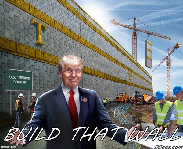 Build that wall | BUILD THAT WALL | image tagged in trump | made w/ Imgflip meme maker