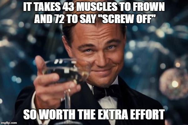 Leonardo Dicaprio Cheers | IT TAKES 43 MUSCLES TO FROWN AND 72 TO SAY "SCREW OFF"; SO WORTH THE EXTRA EFFORT | image tagged in memes,leonardo dicaprio cheers | made w/ Imgflip meme maker