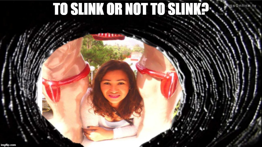 Dilemma | TO SLINK OR NOT TO SLINK? | image tagged in dilemma,slinky,human,girl,fun,crawl | made w/ Imgflip meme maker