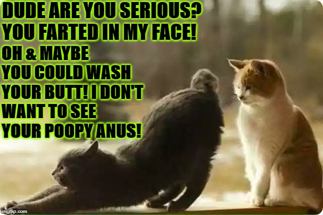 DUDE ARE YOU SERIOUS? YOU FARTED IN MY FACE! OH & MAYBE YOU COULD WASH YOUR BUTT! I DON'T WANT TO SEE YOUR POOPY ANUS! | image tagged in fart face | made w/ Imgflip meme maker