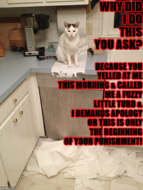 WHY DID I DO THIS YOU ASK? BECAUSE YOU YELLED AT ME THIS MORNING & CALLED ME A FUZZY LITTLE TURD & I DEMANDS APOLOGY OR THIS IS ONLY THE BEGINNING OF YOUR PUNISHMENT! | image tagged in why | made w/ Imgflip meme maker