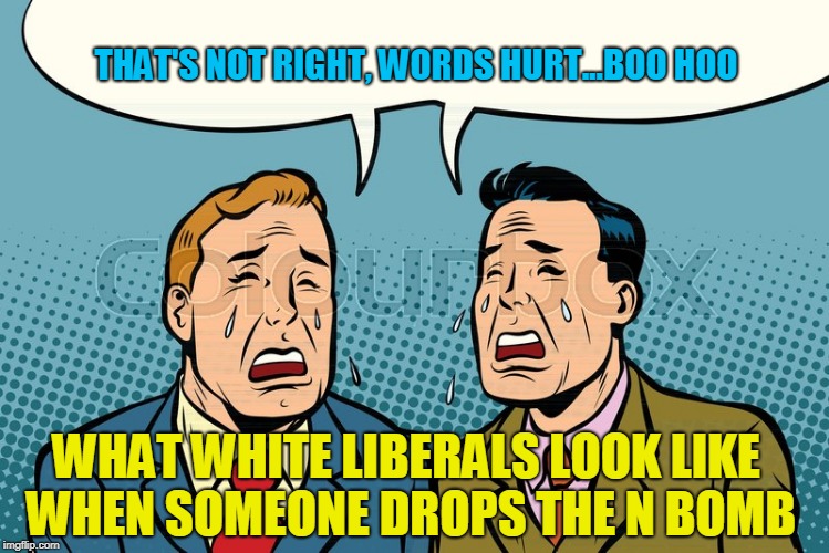 cry babies  | THAT'S NOT RIGHT, WORDS HURT...BOO HOO; WHAT WHITE LIBERALS LOOK LIKE WHEN SOMEONE DROPS THE N BOMB | image tagged in liberals | made w/ Imgflip meme maker
