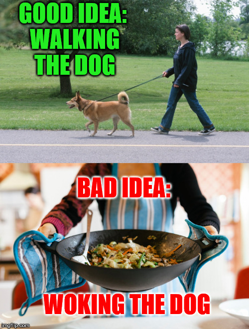 Good Idea: Bad Idea | GOOD IDEA: WALKING THE DOG; BAD IDEA:; WOKING THE DOG | image tagged in good idea,bad idea,pets | made w/ Imgflip meme maker