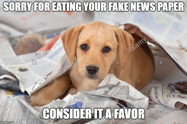 Good boy | SORRY FOR EATING YOUR FAKE NEWS PAPER; CONSIDER IT A FAVOR | image tagged in fake news | made w/ Imgflip meme maker
