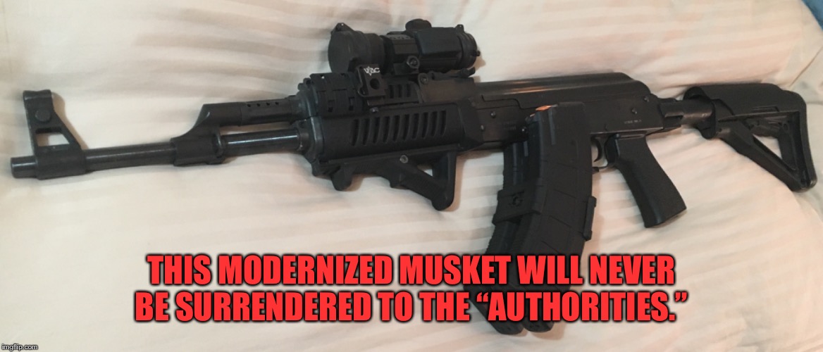 Modern musket | THIS MODERNIZED MUSKET WILL NEVER BE SURRENDERED TO THE “AUTHORITIES.” | image tagged in modern musket,molon labe | made w/ Imgflip meme maker