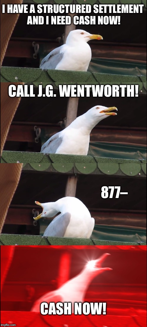 Inhaling Seagull Meme | I HAVE A STRUCTURED SETTLEMENT AND I NEED CASH NOW! CALL J.G. WENTWORTH! 877–; CASH NOW! | image tagged in memes,inhaling seagull | made w/ Imgflip meme maker