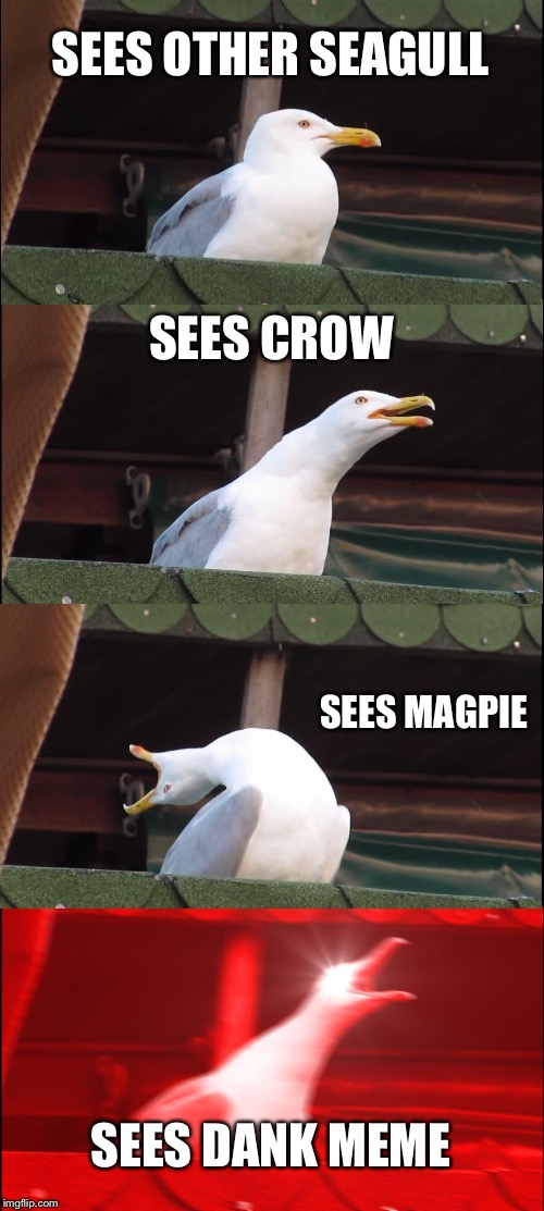 Inhaling Seagull Meme | SEES OTHER SEAGULL; SEES CROW; SEES MAGPIE; SEES DANK MEME | image tagged in memes,inhaling seagull | made w/ Imgflip meme maker