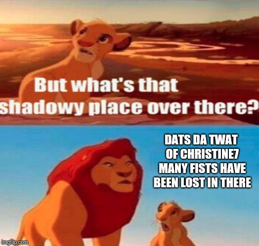 DATS DA TWAT OF CHRISTINE7 MANY FISTS HAVE BEEN LOST IN THERE | made w/ Imgflip meme maker