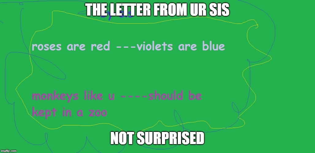 the letter from sis | THE LETTER FROM UR SIS; NOT SURPRISED | image tagged in i hate my sis,my sis is annoying | made w/ Imgflip meme maker