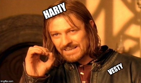 One Does Not Simply Meme | HARIY; VESTY | image tagged in memes,one does not simply | made w/ Imgflip meme maker