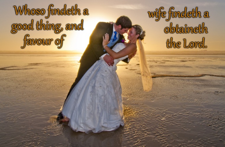 Proverbs 18:22  When a Man Finds a Wife He Finds Favor With the Lord | Whoso findeth a; wife findeth a; good thing, and; obtaineth; favour of; the Lord. | image tagged in bible,holy bible,holy spirit,bible verse,verse,god | made w/ Imgflip meme maker